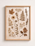 Pressed Botanicals A3 Framed Wall Art | Neutral Vintage Boho Decor