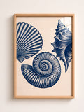 Blue Seashells A3 Framed Wall Art | Coastal Boho Nautical Decor